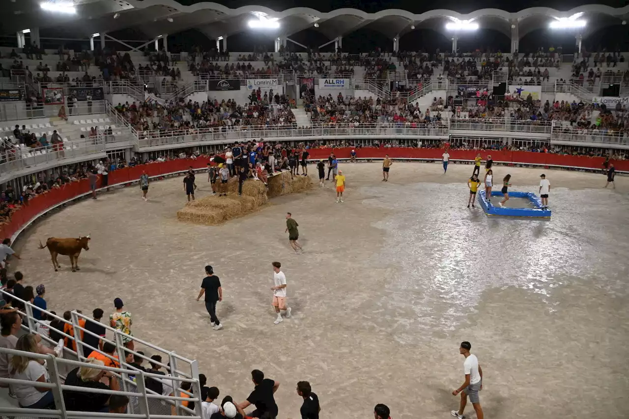 Lunel : les deux derniers taureaux-piscines de la saison