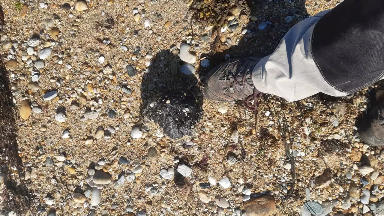 Morbihan : plusieurs boulettes d'hydrocarbures découvertes sur une plage