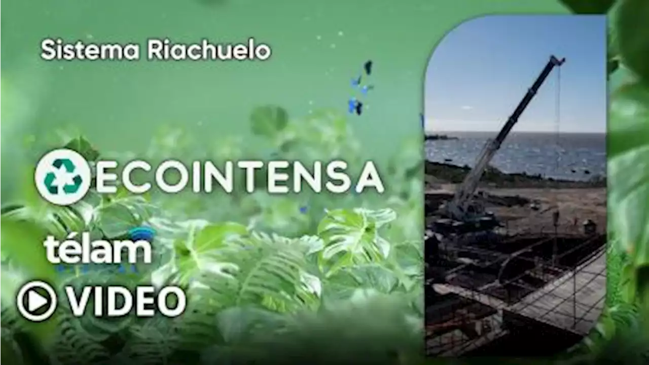 Ecointensa: Sistema Riachuelo