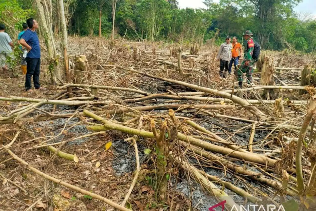 BPBD OKU: Empat peristiwa karhutla terjadi pada 2023