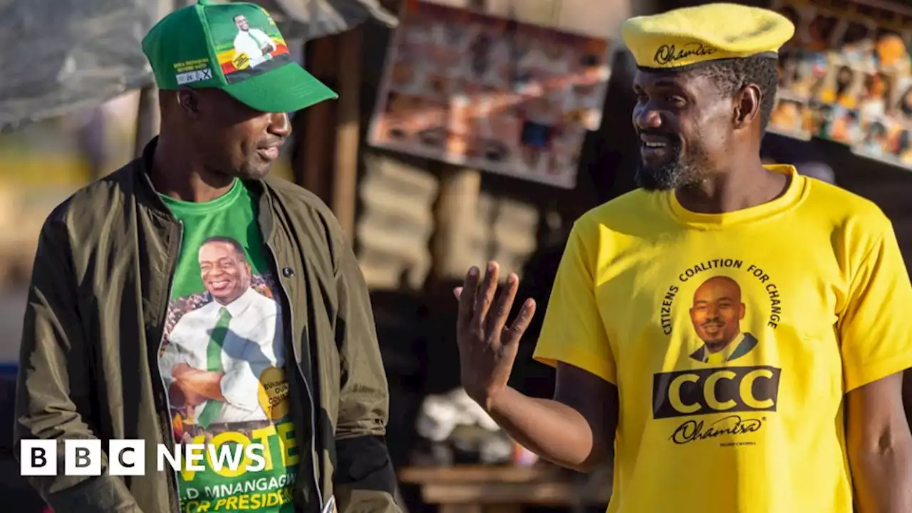 Zimbabwe election: Chicken and chips put a taste for democracy to the test