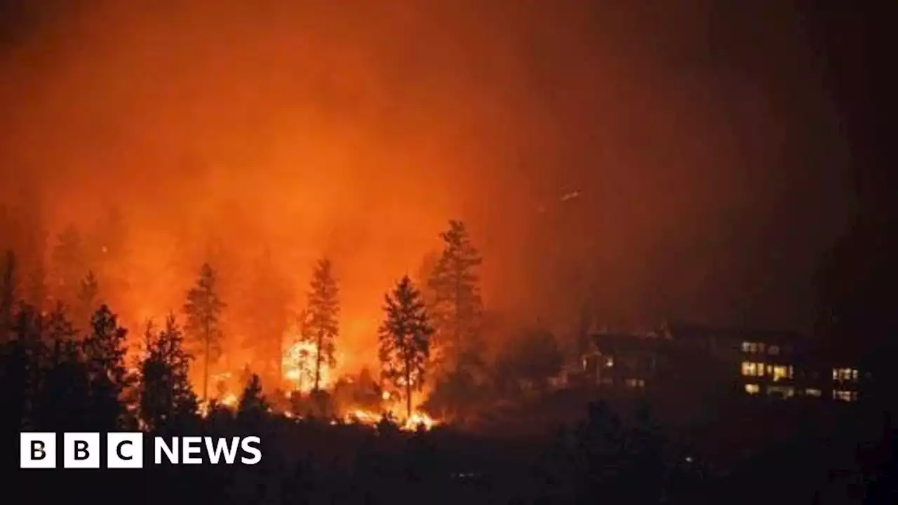 Canada wildfires: Cooler weather brings hope as firefighters make progress