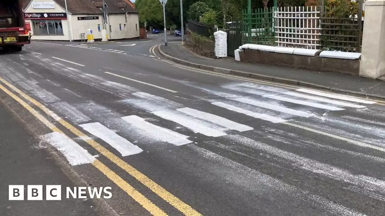 'Mindless' vandals in Wellington paint fake zebra crossing on road