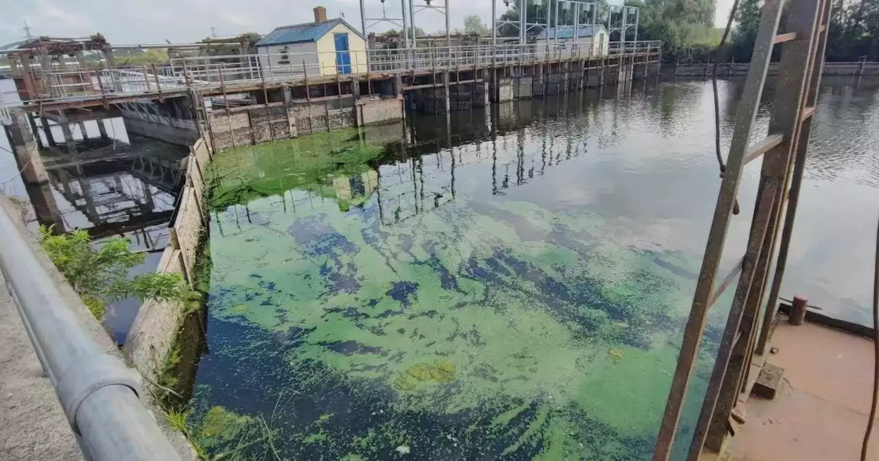 Anglers calling for answers on safety of all food fished from Lough Neagh