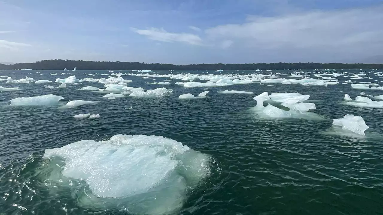 Comment Google utilise l'IA pour anticiper les conséquences du réchauffement climatique