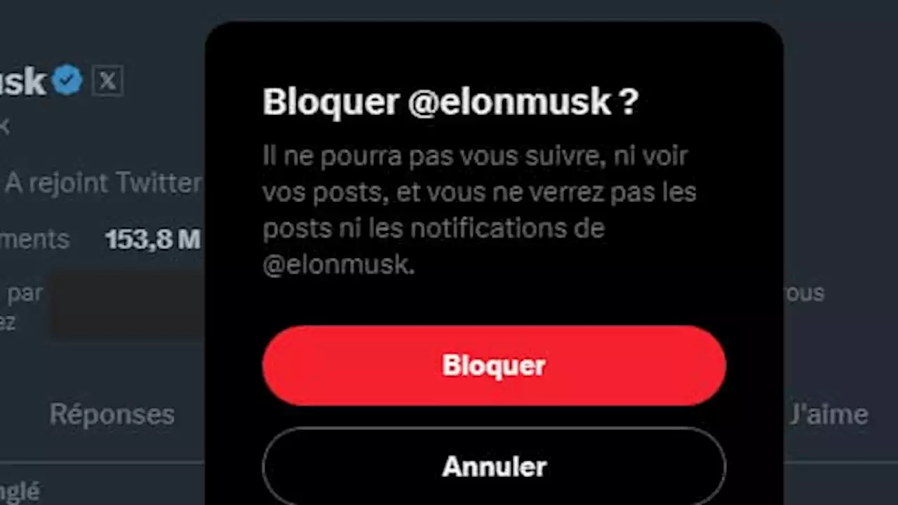 Elon Musk a-t-il le droit de supprimer la fonction 'bloquer' de Twitter?