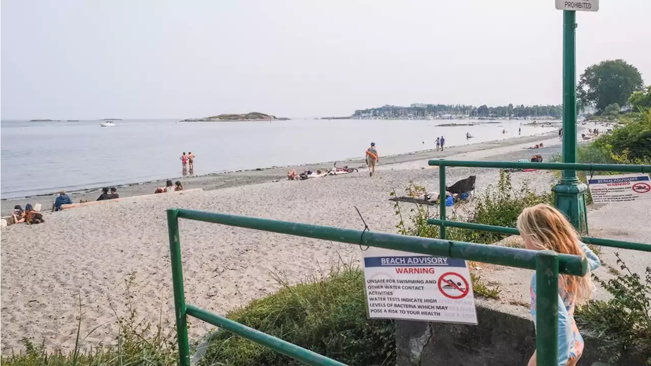 Willows Beach deemed unsafe for swimming as record level of bacteria found in water test