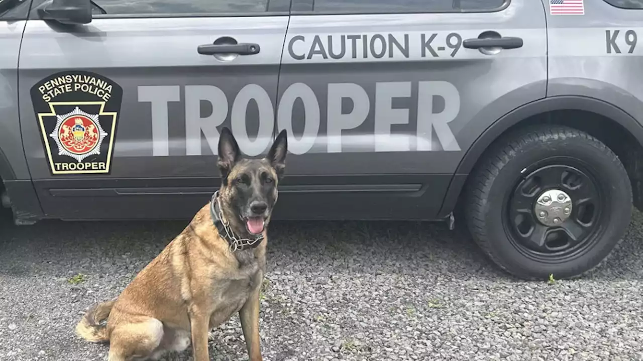 State Police K9s to get bullet, stab proof vests thanks to donation