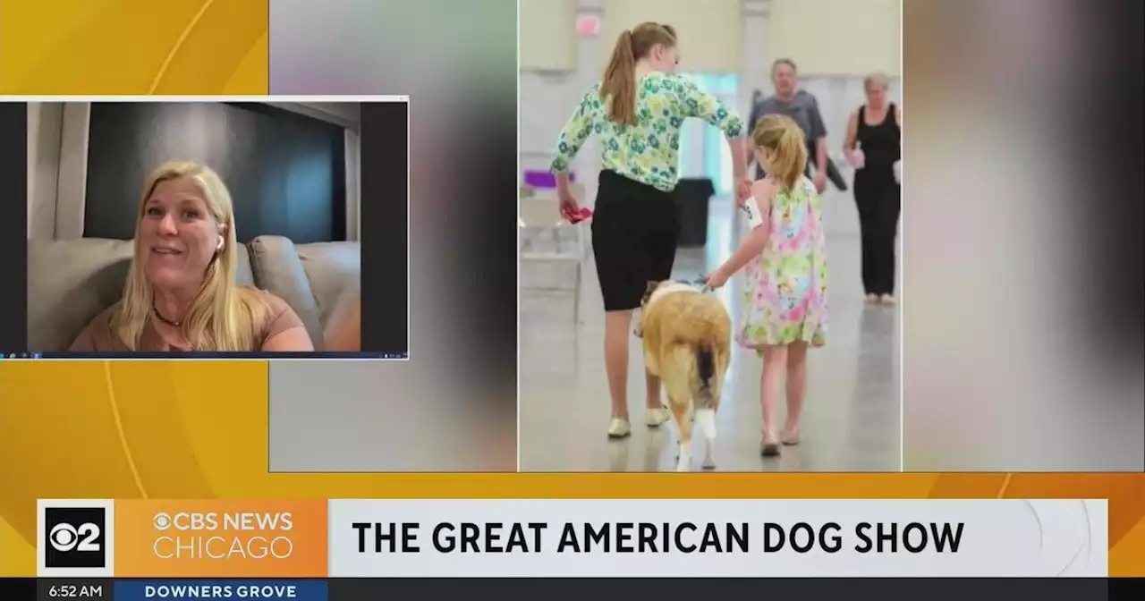 Inside the Great American Dog Show