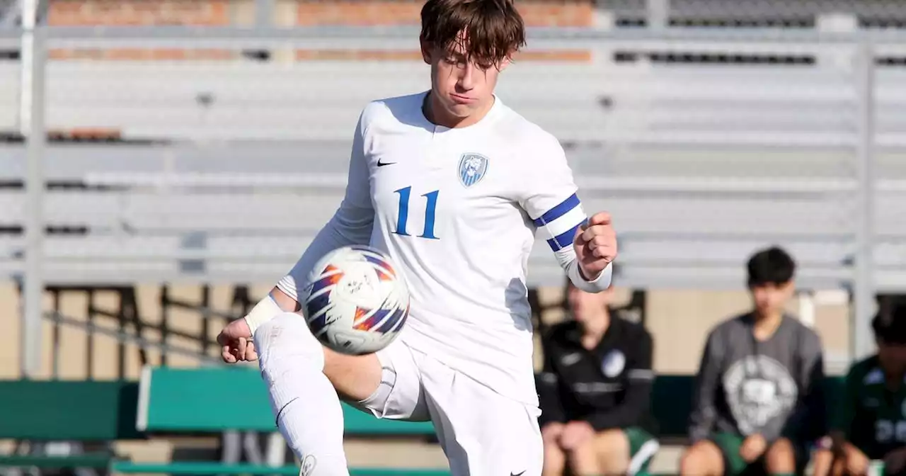 Soccer: Vernon Hills' Nikita Stepanov learns from parents