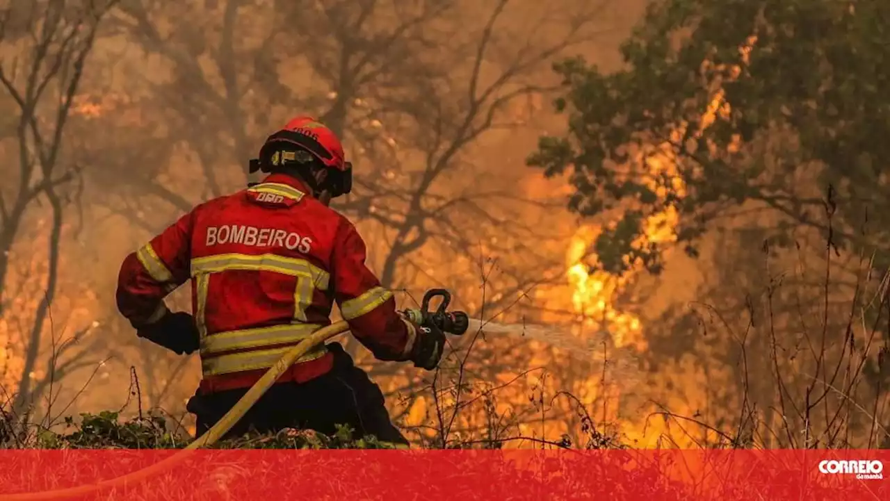 Mais de 40 concelhos de cinco distritos em perigo máximo de incêndio