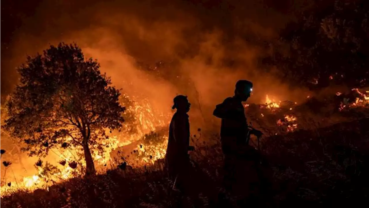 Kebakaran Hutan di Yunani Desak Banyak Warga Mengungsi