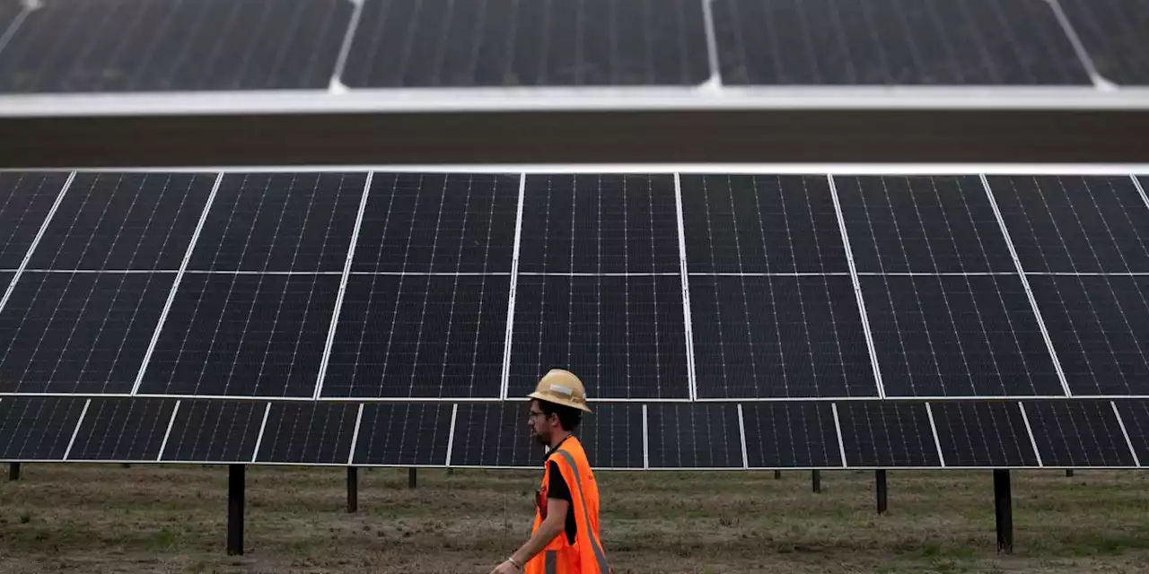 Analysts Say Solar Is Saving Texans From Widespread Power Outages Amid Extreme Heat