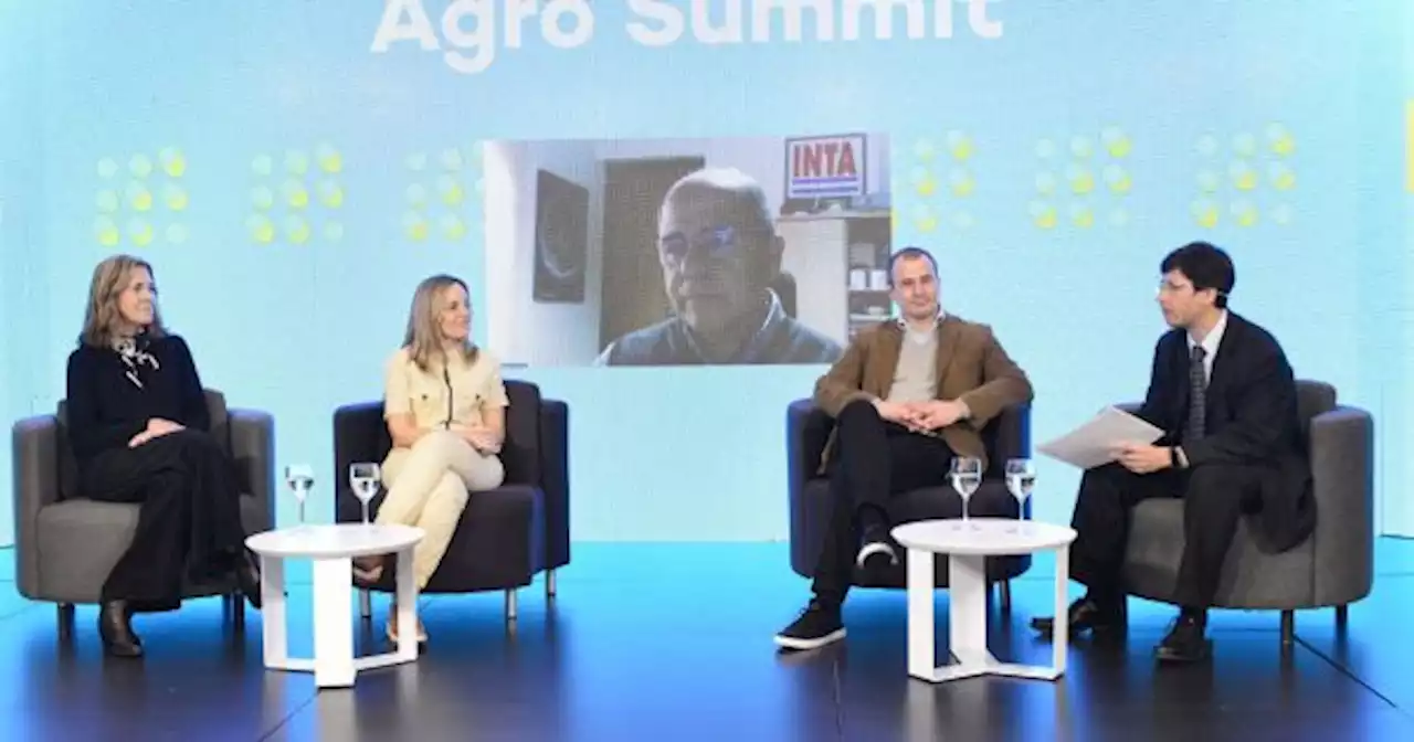 Agricultura regenerativa: �moda o el nuevo pilar de un campo m�s sustentable?