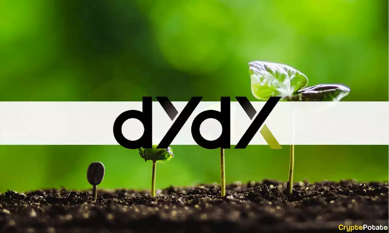 Here is How dYdX Chain Validators and Stakers Will Keep the Ecosystem Unharmed