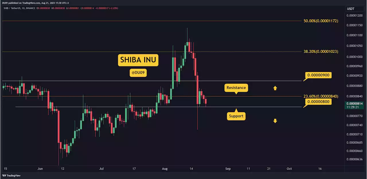 What's Next for SHIB Following 22% Weekly Disaster? 3 Things to Watch This Week (Shiba Inu Price Analysis)