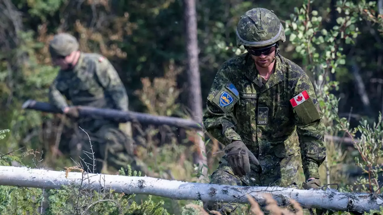 CAF deploys more than 300 personnel to Yellowknife area; city expected to give update