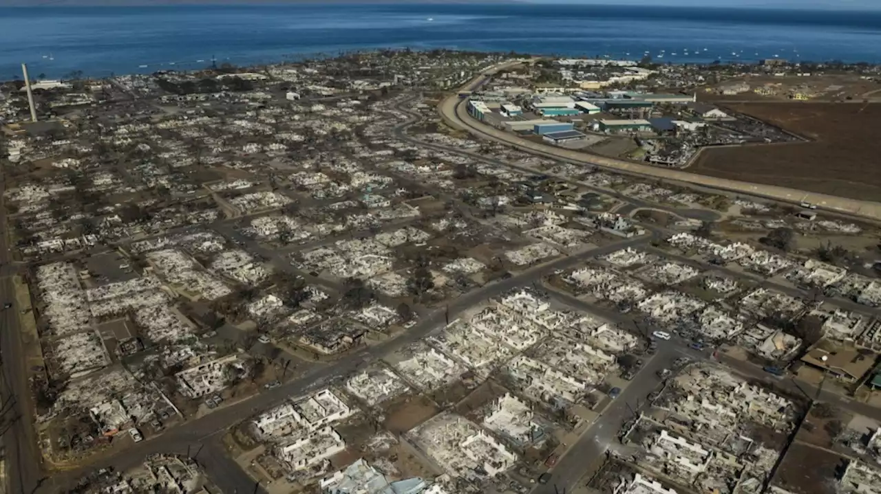 Immigrant workers' lives, livelihoods and documents in limbo after the Hawaii fire