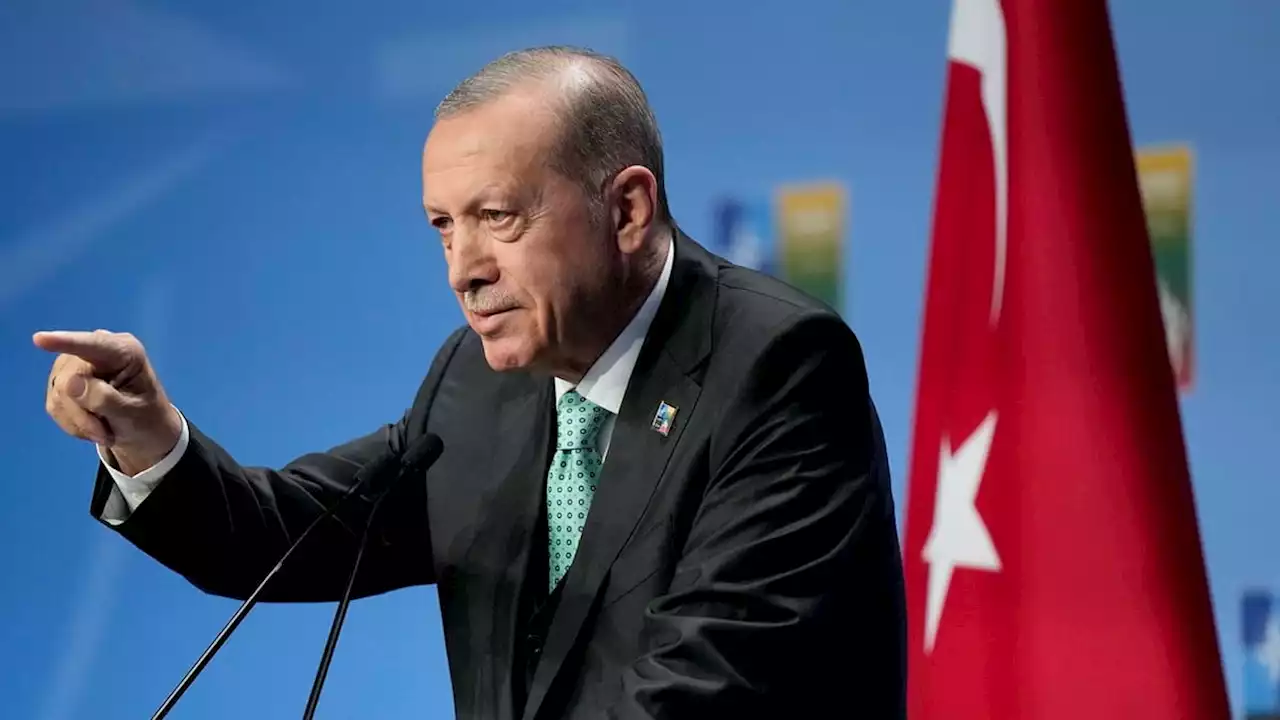 Erdogan: Sverige måste kontrollera sina gator