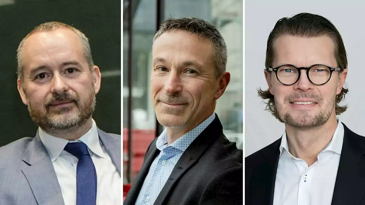 Experterna: 10 aktier att köpa i frossan – ”stora utdelningar”