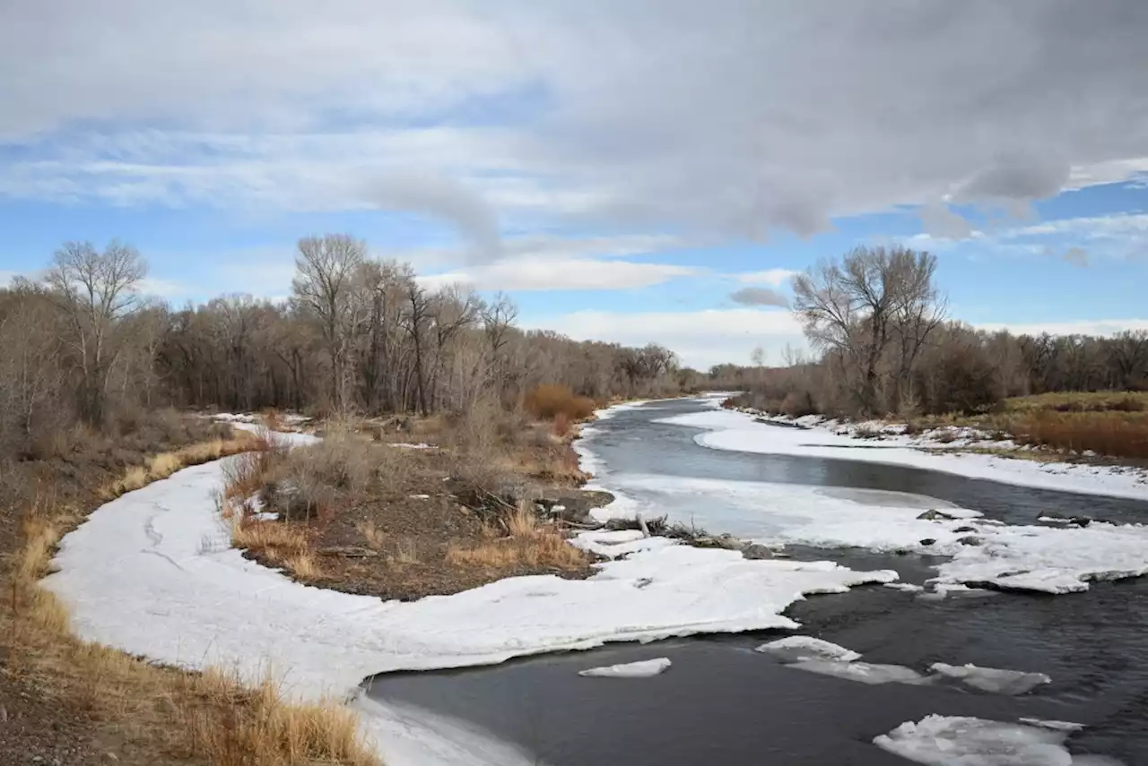 BLM whistleblower says illegal grazing is ruining land along the Rio Grande River