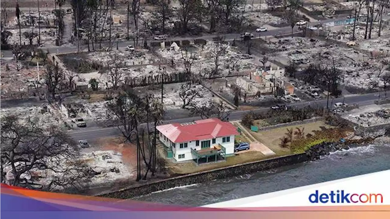 Cerita Pemilik 'Rumah Atap Merah' yang Utuh di Tengah Kebakaran Dahsyat Hawaii