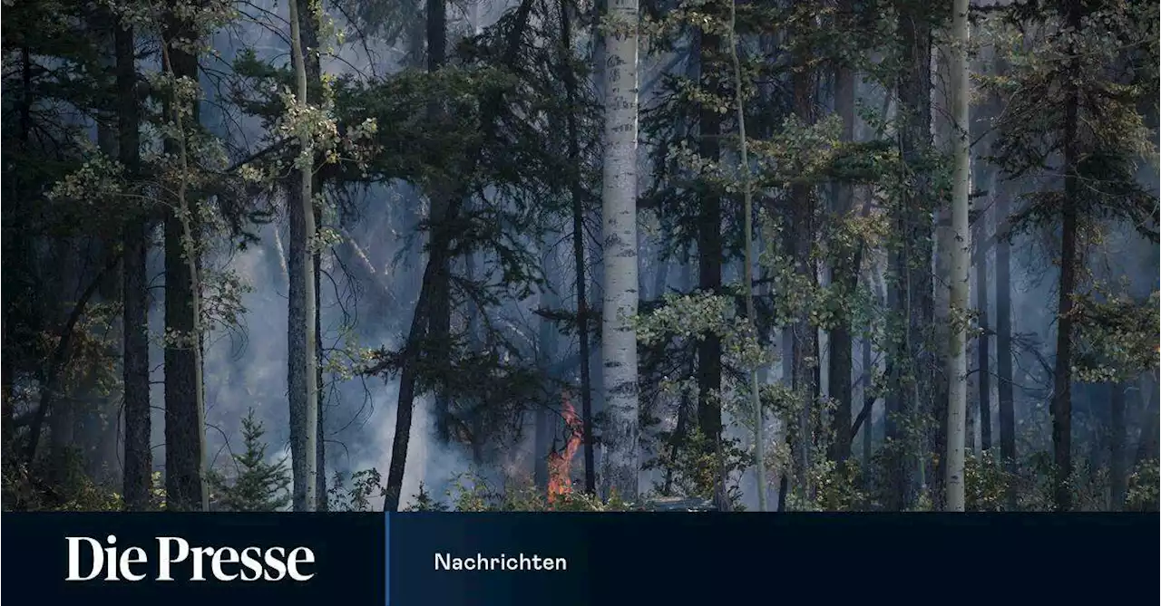 Waldbrände in Kanada toben weiter