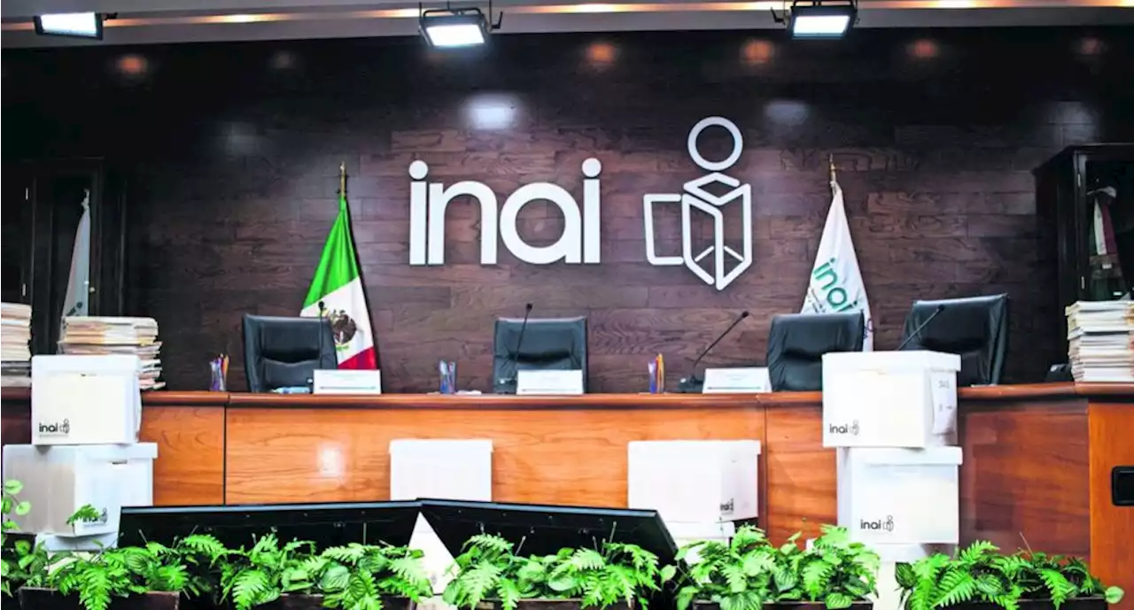 INAI, un órgano insustituible: Ibarra Cadena