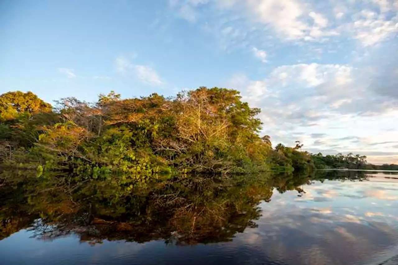 Ecuador dio el “sí” para detener extracción de petróleo en una zona del Amazonas