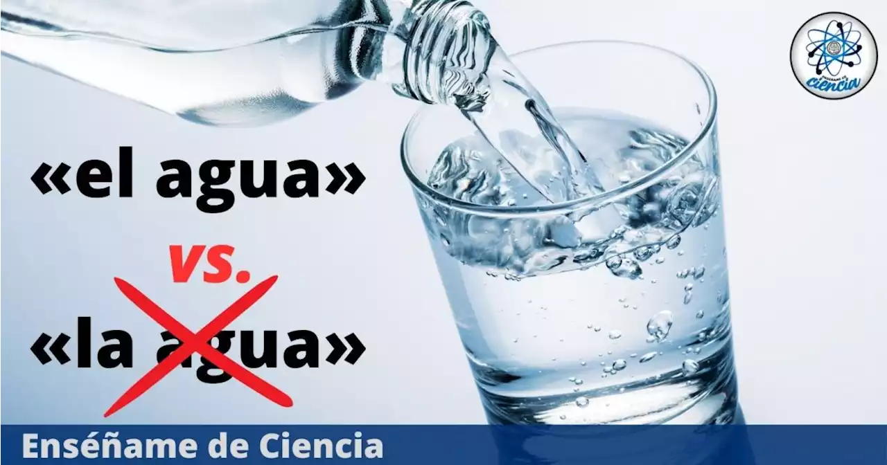 RAE responde: si «agua» es femenino, ¿por qué se dice «el agua»?