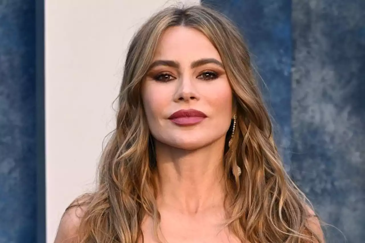 Sofia Vergara All Smiles And Dancing At Karol G Concert Following Divorce