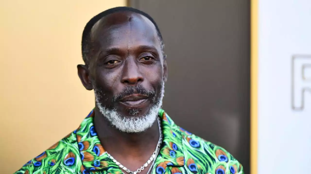 Michael K. Williams: Drug Dealer Sentenced to 10 Years in Prison