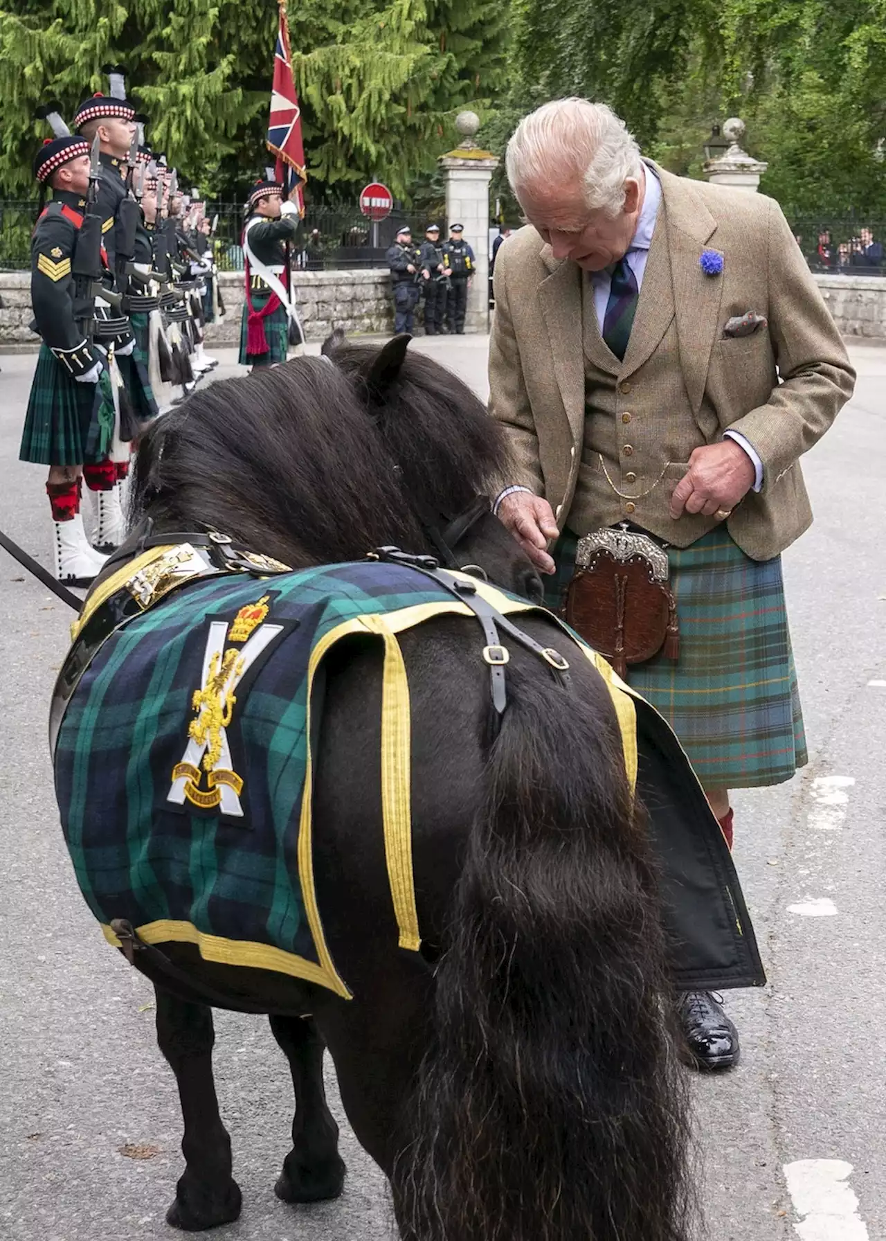 Royals: König Charles und das besondere Shetlandpony