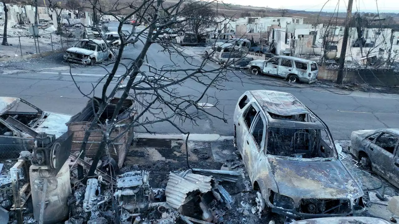 President Joe Biden, first lady to meet with Maui wildfire survivors, first responders