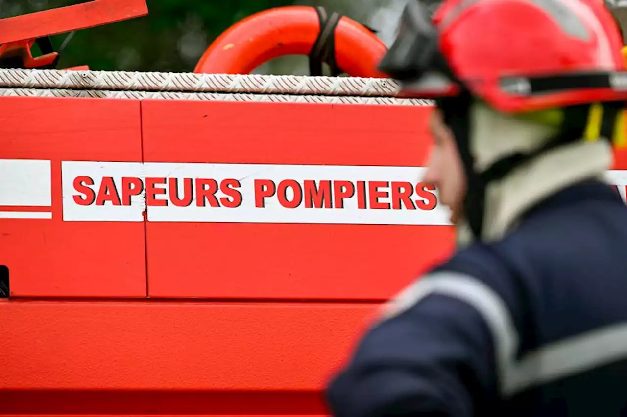 Un feu de végétation se déclare en Savoie : l'incendie a rapidement été maîtrisé