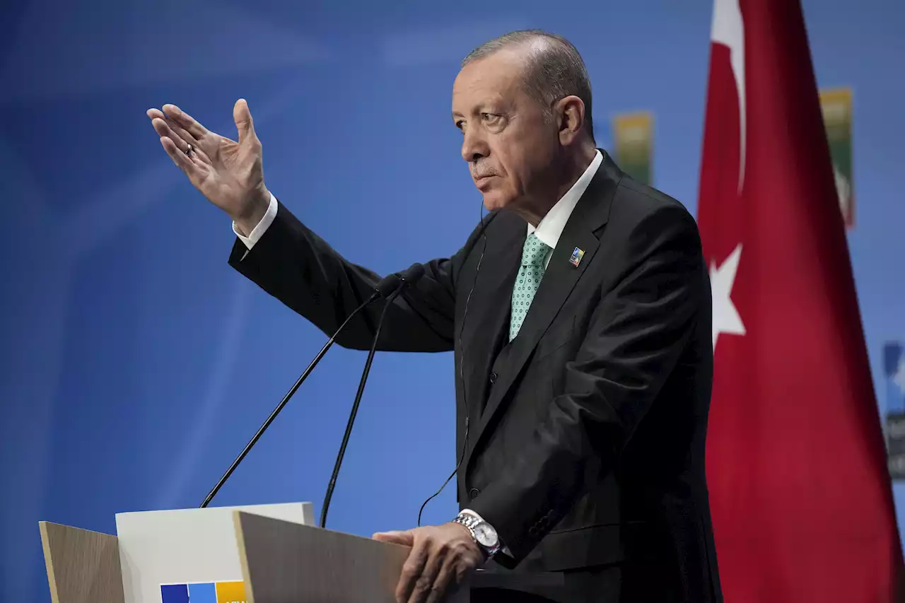 Erdogan: Sverige måste kontrollera sina gator