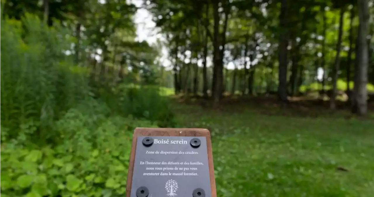 Quebec cemetery turns former golf course into forest for the deceased