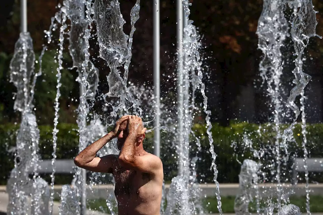 France issues ‘red alert’ over heat wave in south