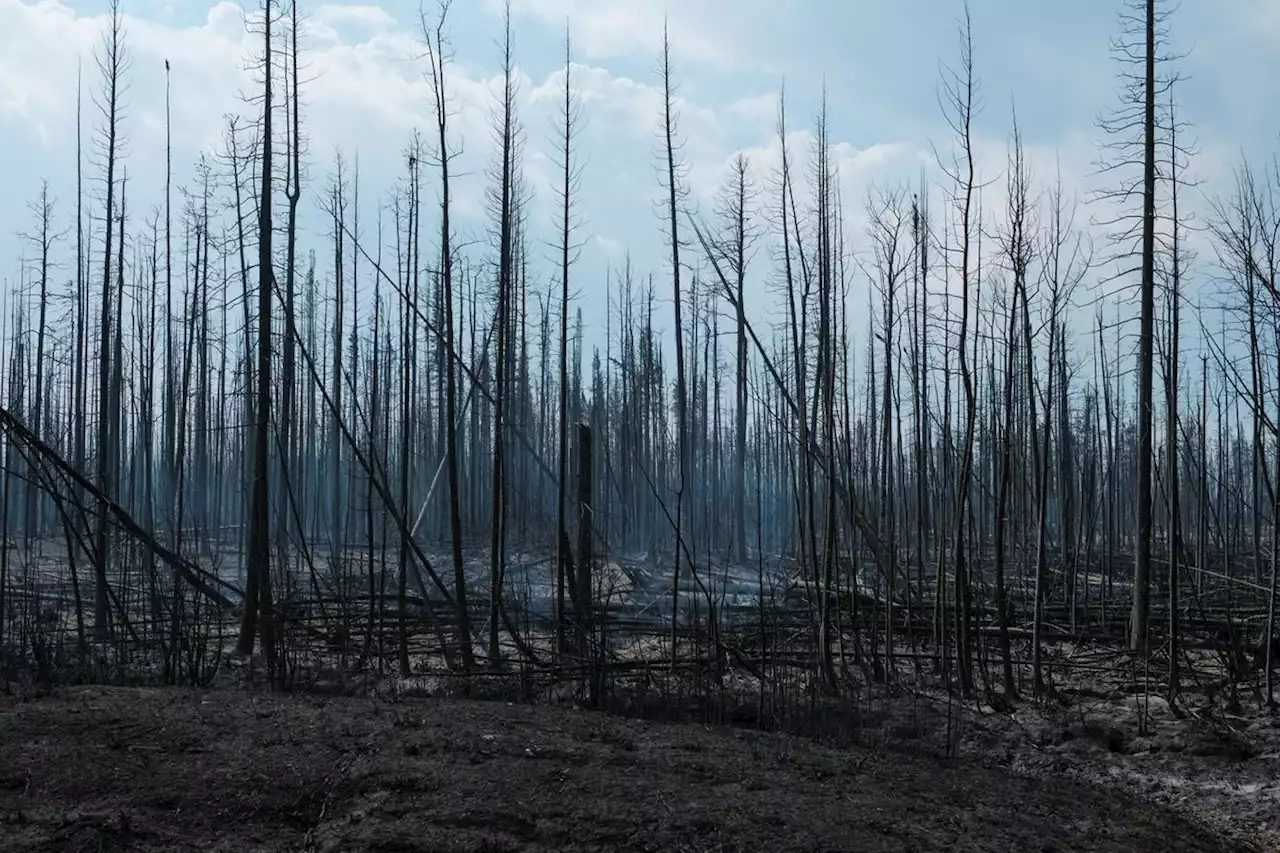 Globe Climate: Western Canada’s unrelenting wildfires showing signs of reprieve but tough days remain ahead