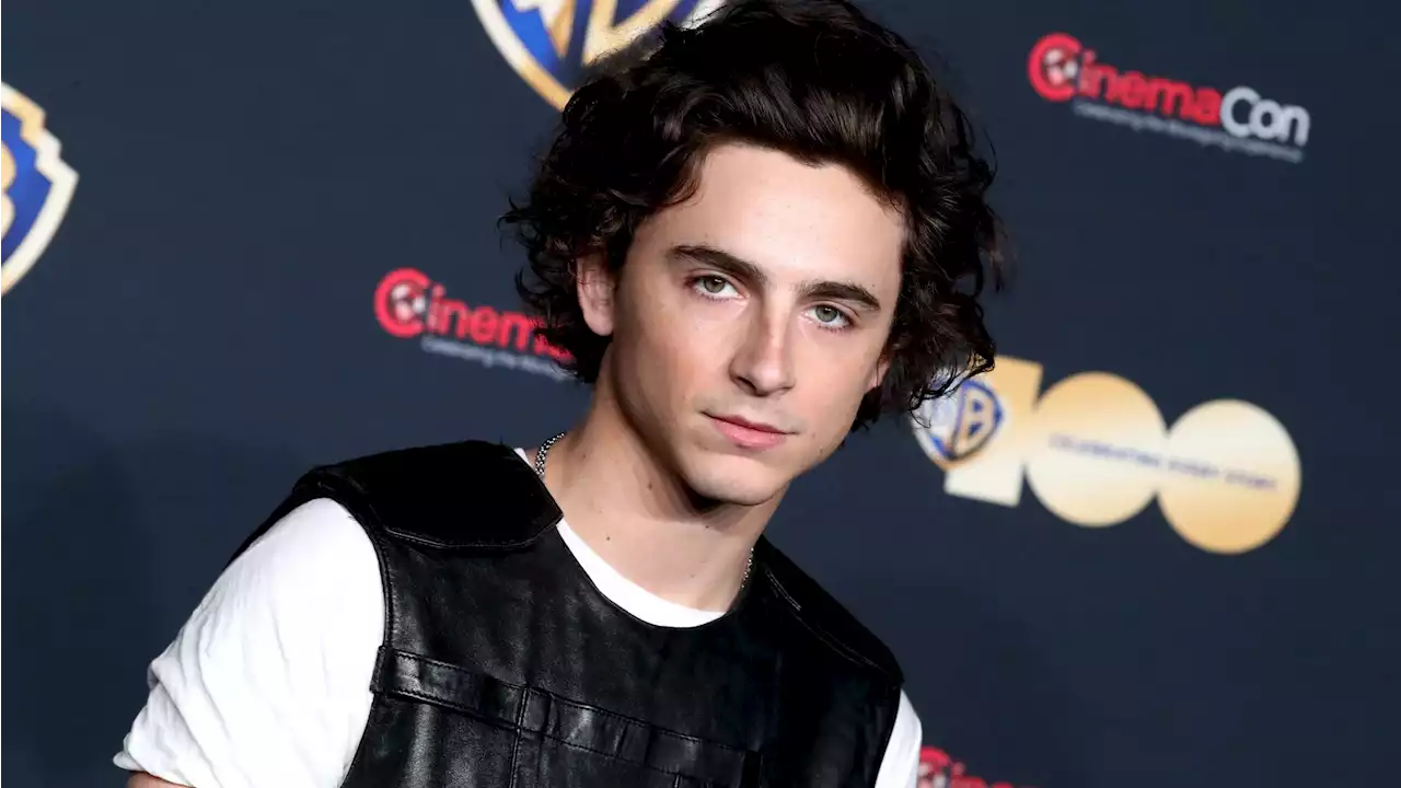 Il fait chaud, Timothée Chalamet a piqué une tête (et il est tout mouillé maintenant...)