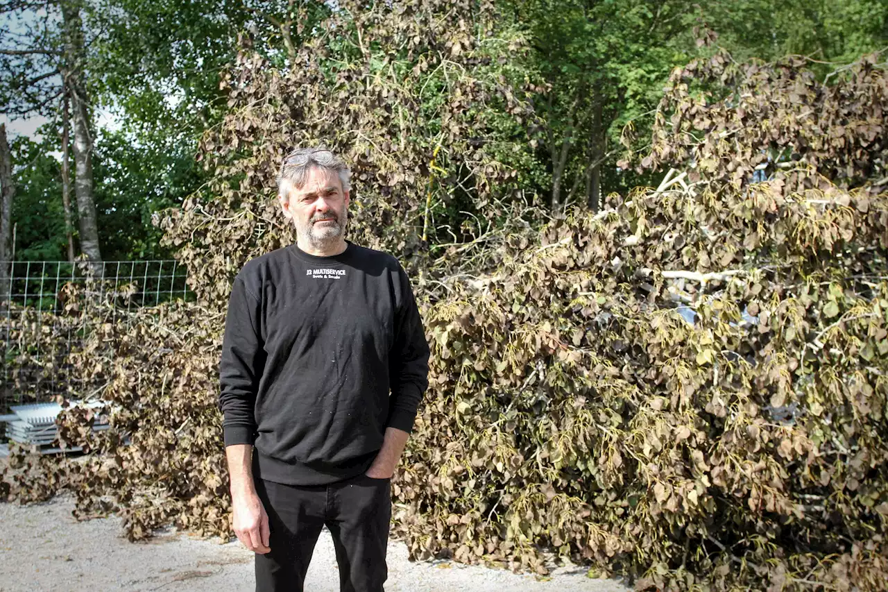 Jonny tvingas betala efter att grannens träd vält hans staket