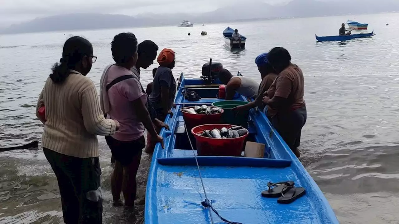 Maluku Menagih Janji Lumbung Ikan Nasional