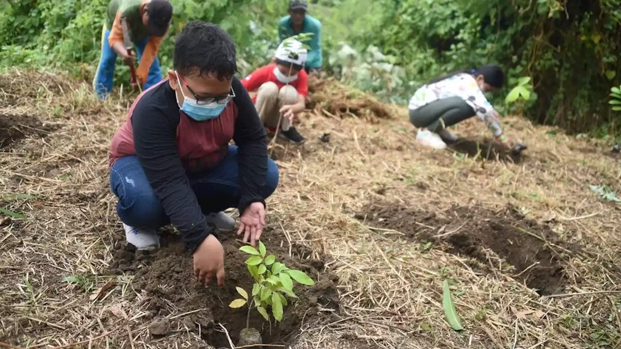 Tanami Lahan Kritis hingga Penerapan Teknologi untuk Hutan Jabar