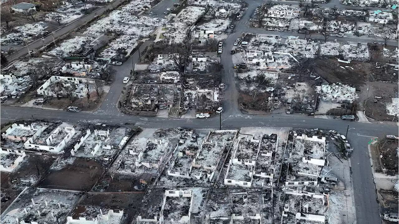 Más de 800 personas siguen desaparecidas por los incendios en la isla hawaiana de Maui