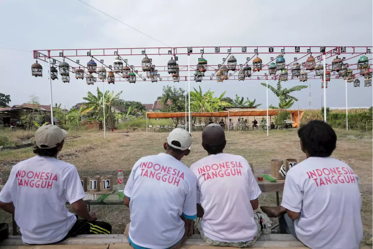 Pena Mas Ganjar Dirikan Gantangan di Tegal Sebagai Komitmen Mendukung Kearifan Lokal