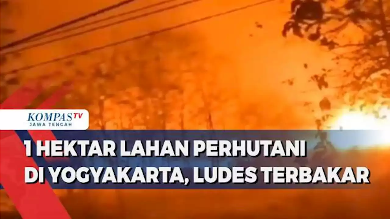 1 Hektar Hutan Jati di Gunungkidul Terbakar