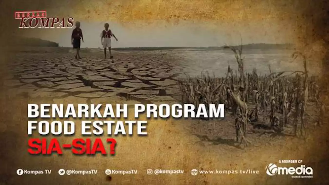 Benarkah Program Lumbung Pangan Sudah Tepat Sasaran di Indonesia?