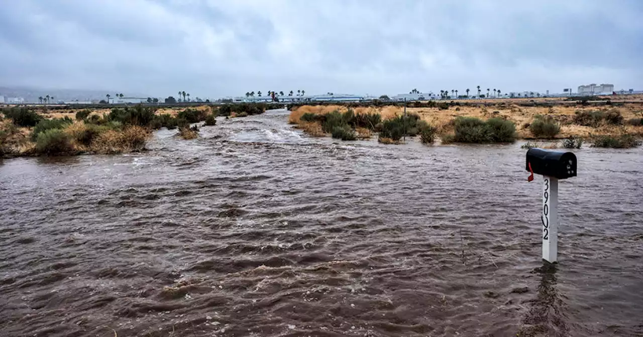 Tropical Storm Hilary rains swamp roads, floods buildings in California, Mexico