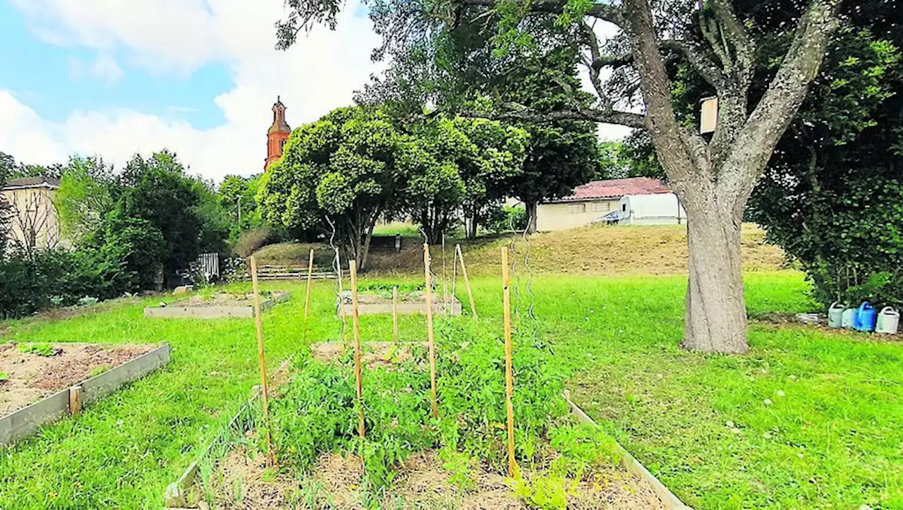 Concours 'Ma commune bouge en Haute-Garonne' : les multiples atouts verts de Gardouch