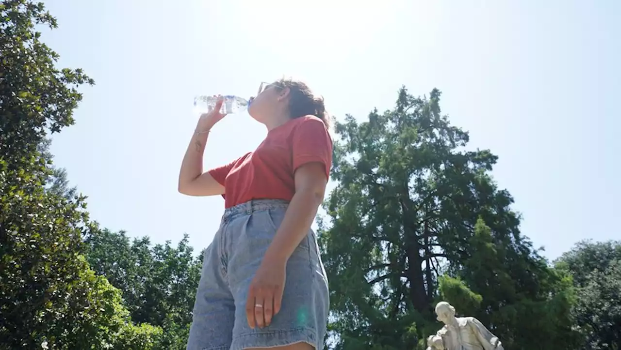 Canicule : quels sont les comportements à adopter lors d'une vigilance rouge ?